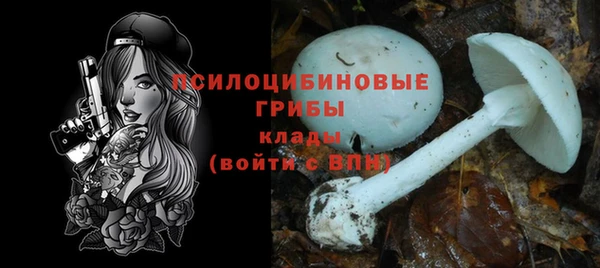 дурь Арсеньев