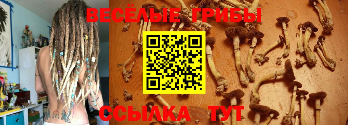 Псилоцибиновые грибы ЛСД  Галлюциногенные грибы мицелий  Вход с VPN  Ангарск 